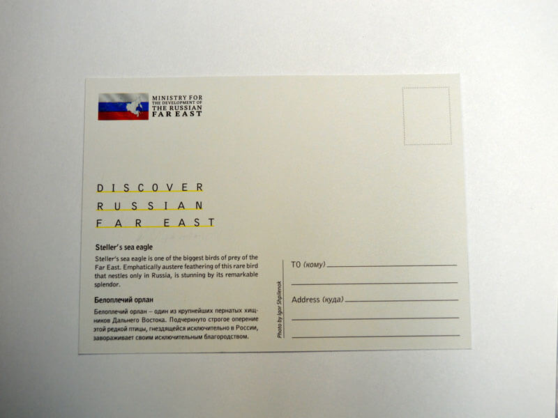 Печать открыток и приглашений на заказ
